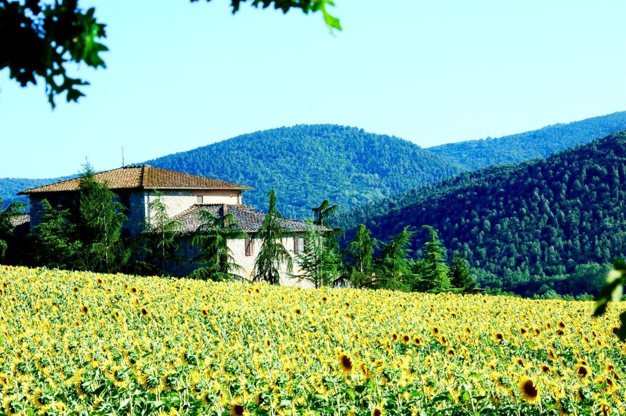 Agriturismo Montioni سوفيتشيلي المظهر الخارجي الصورة